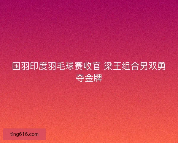 国羽印度羽毛球赛收官 梁王组合男双勇夺金牌