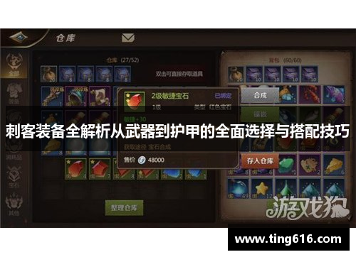 刺客装备全解析从武器到护甲的全面选择与搭配技巧
