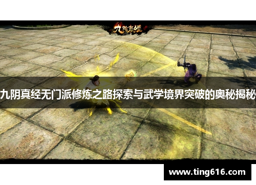 九阴真经无门派修炼之路探索与武学境界突破的奥秘揭秘